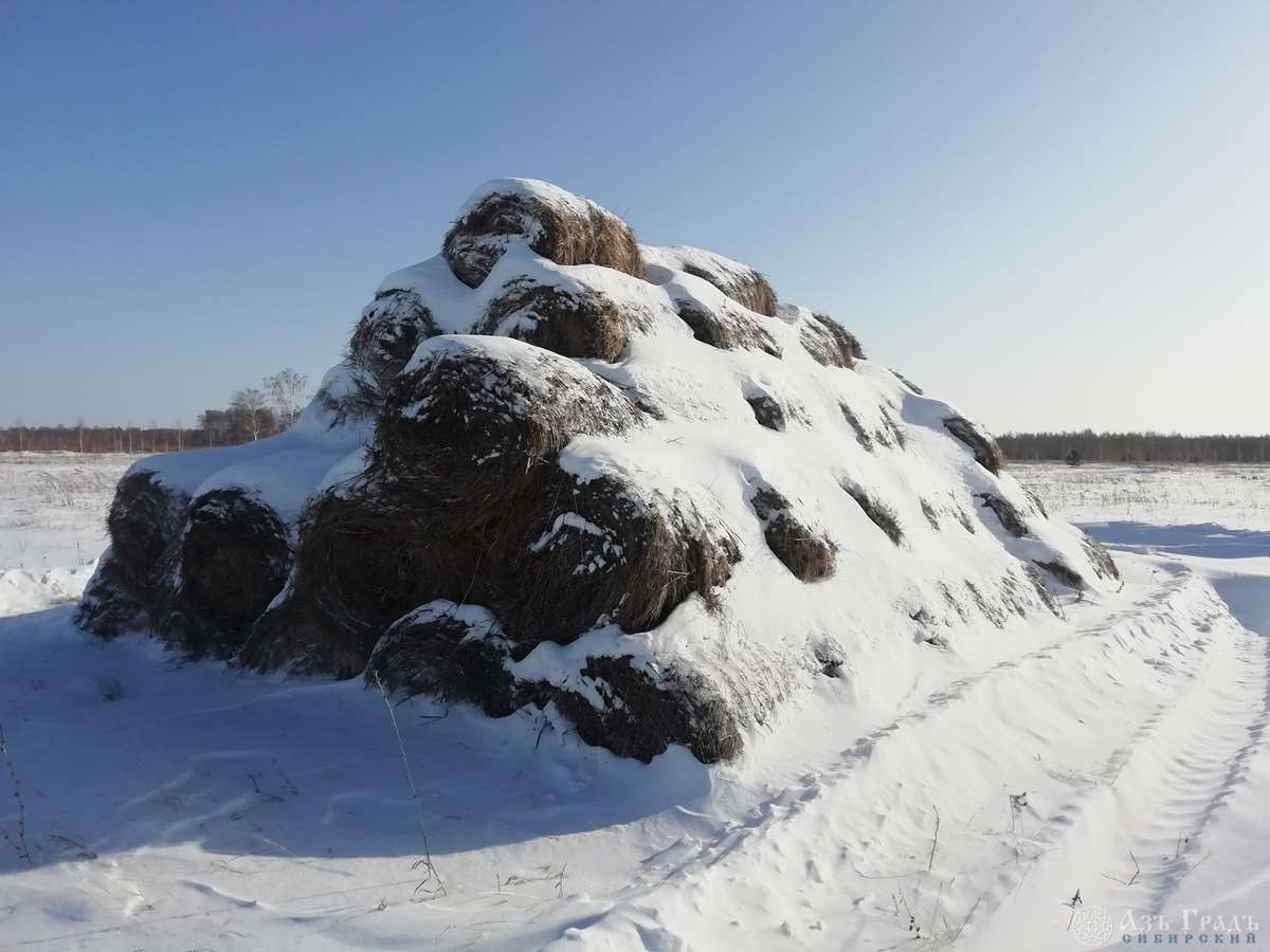 Азъ Градъ итоги