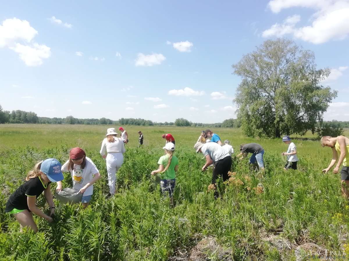 Азъ Градъ итоги