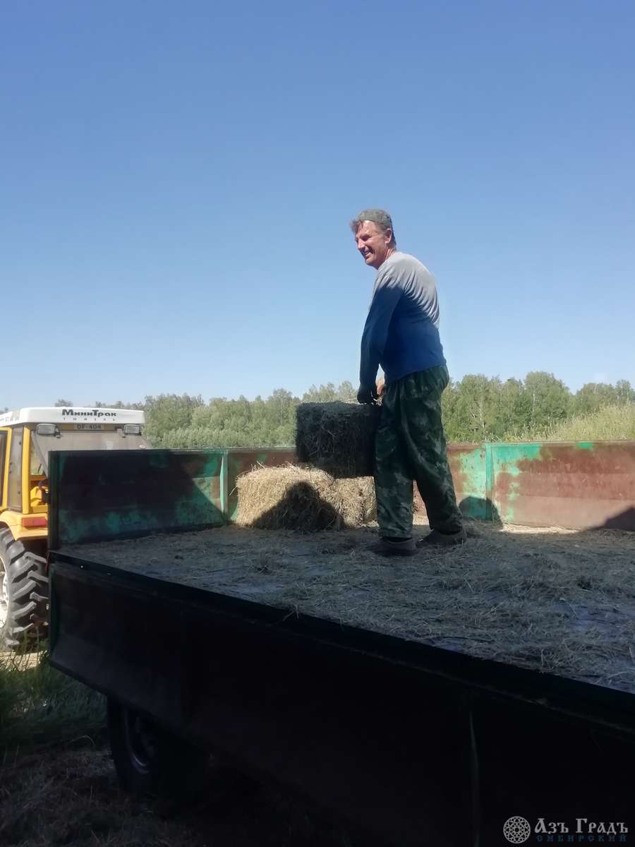 Азъ Градъ итоги