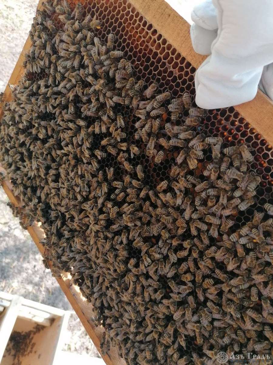 Азъ Градъ итоги